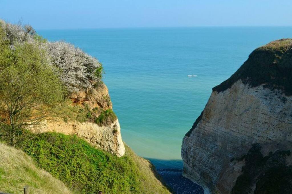 Superbe Propriete Bord De Mer - Le Clos Ricarda Sainte-Marguerite  Luaran gambar